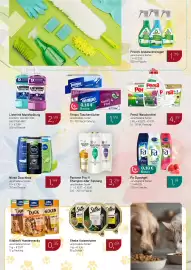 Dornseifer Prospekt woche 31 Seite 14