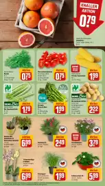REWE Prospekt woche 31 Seite 7