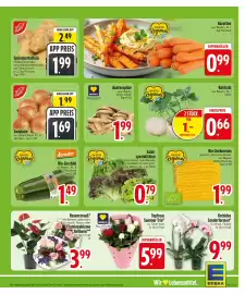 Edeka Stenger Prospekt woche 31 Seite 5