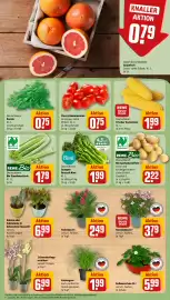 REWE City Prospekt woche 31 Seite 7