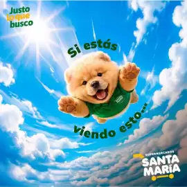 Catálogo Santa Maria Página 5