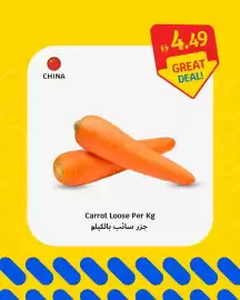 SAVA catalogue week 30 Page 2