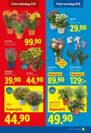Lidl reklamblad vecka 32 Sida 19