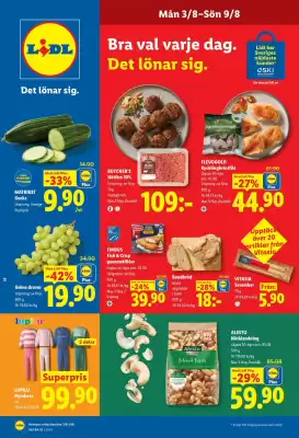 Lidl reklamblad (giltig till och med 9-08)