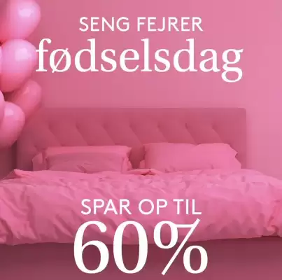 SengeSpecialisten (gælder indtil 2-08)