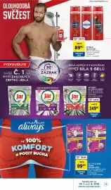 Tesco leták týden 31 Strana 13