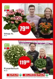 Eurospar kundeavis uke 31 Side 12