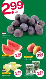 Spar folder Pagina 2