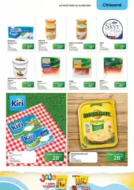 Tamda Foods leták týden 31 Strana 19