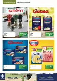 Tamda Foods leták týden 31 Strana 42
