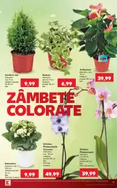 Catalog Kaufland săptămâna 31 Pagină 13