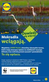 Lidl gazetka tydzień 32 Strona 56