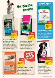 Catalogue Maxi Zoo semaine 31 page 10