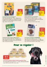 Catalogue Maxi Zoo semaine 31 page 11