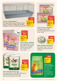 Catalogue Maxi Zoo semaine 31 page 12