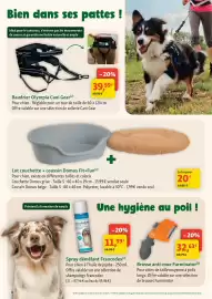 Catalogue Maxi Zoo semaine 31 page 8