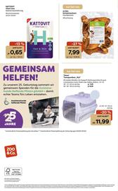 ZOO & Co Flugblatt woche 31 Seite 12