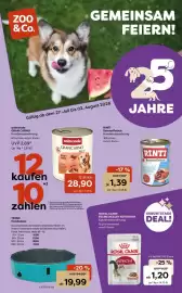 ZOO & Co Flugblatt woche 31 Seite 1