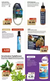 ZOO & Co Flugblatt woche 31 Seite 11