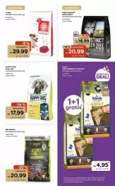 ZOO & Co Flugblatt woche 31 Seite 2