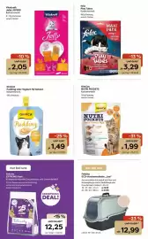 ZOO & Co Flugblatt woche 31 Seite 8