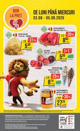 Catalog Mega Image săptămâna 31 Pagină 24