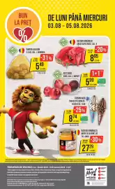 Catalog Mega Image săptămâna 31 Pagină 24