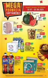 Catalog Mega Image săptămâna 31 Pagină 3