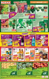 Catalogue Norma semaine 32 page 4