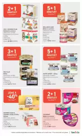 Catalogue Tom&Co page 3