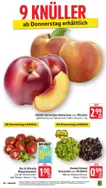 EDEKA Berger Prospekt woche 31 Seite 42