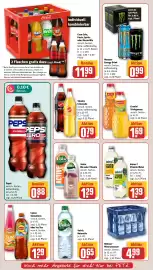 REWE PETZ Prospekt woche 31 Seite 16