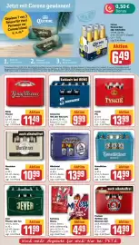 REWE PETZ Prospekt woche 31 Seite 17