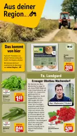 REWE PETZ Prospekt woche 31 Seite 24