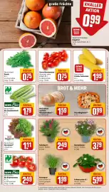 REWE PETZ Prospekt woche 31 Seite 7