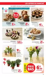 Catalogue Bi1 page 15