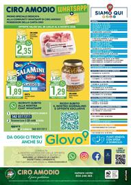 Volantino Ciro Amodio Pagina 12