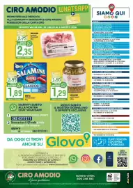 Volantino Ciro Amodio Pagina 12