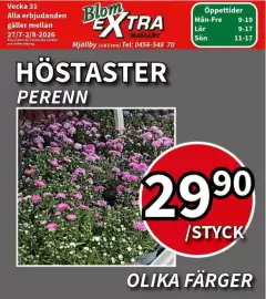 Extra Mjällby Stormarknad reklamblad vecka 31 Sida 10