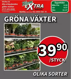 Extra Mjällby Stormarknad reklamblad vecka 31 Sida 11