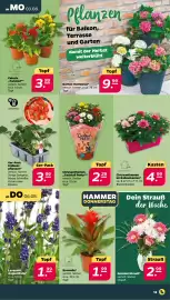 Netto Prospekt woche 32 Seite 15