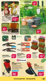 Netto Prospekt woche 32 Seite 21