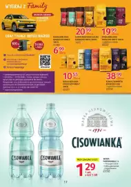 Selgros gazetka Strona 17