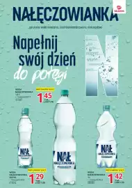 Selgros gazetka Strona 19