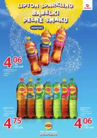 Selgros gazetka Strona 21