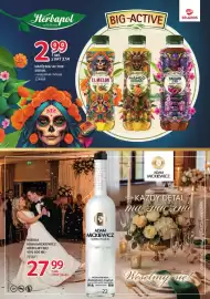 Selgros gazetka Strona 22