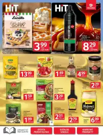 Selgros gazetka Strona 15