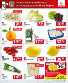 Selgros gazetka Strona 5