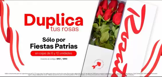 Catálogo Rosatel semana 31 Página 1