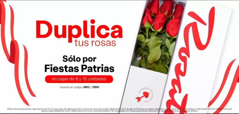 Catálogo Rosatel (válido hasta 1-08)